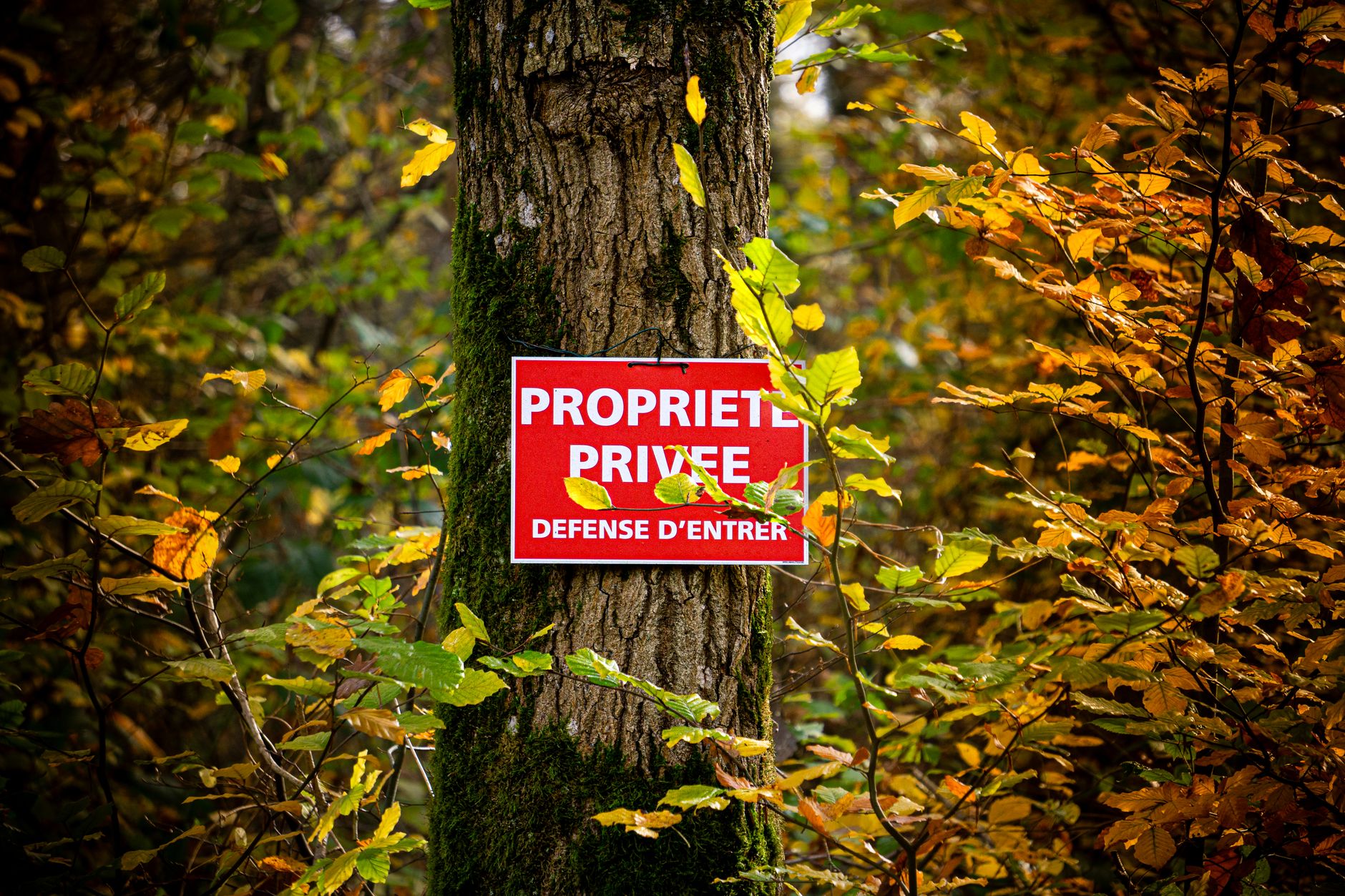 Détective privé à Rouen